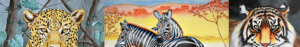 Leopard, zebras, tiger colorful wildlife paintings